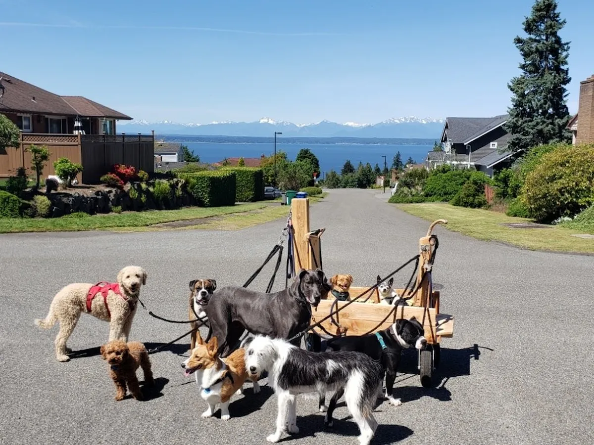Daycare Morning